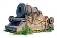 Саженцы бесшипной ежевики Честер Торнлесс