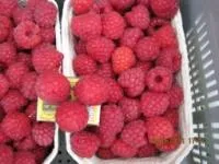 Саженцы малины Глен Лион